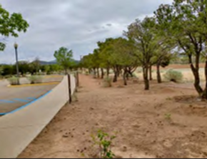 Campus grounds landscape and building edge reference